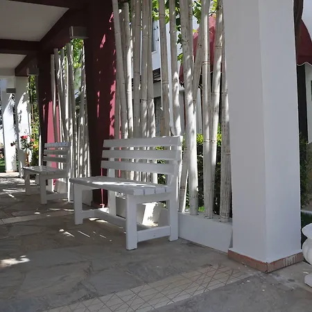 Club Cherry & Family 2*