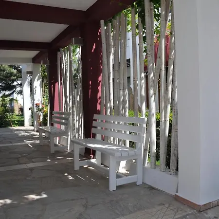 Club Cherry & Family