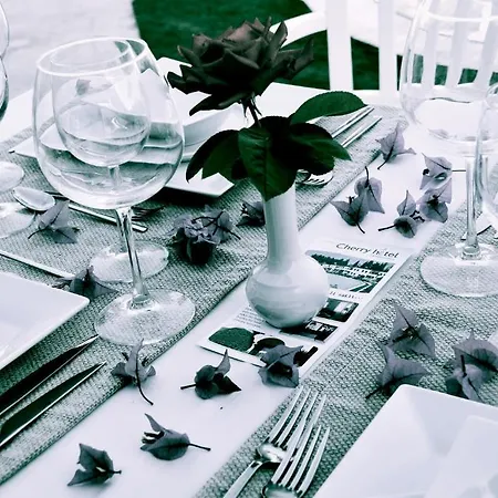 Club Cherry & Family 2* トゥルグトレイス