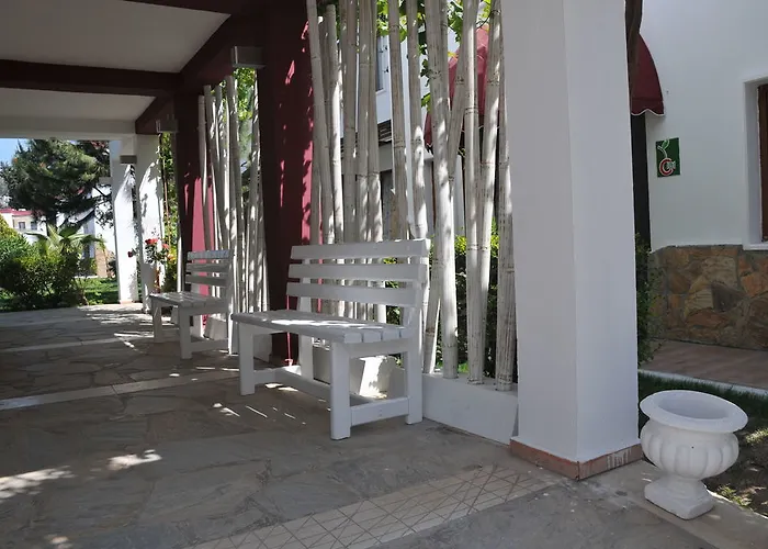 Club Cherry & Family 2*