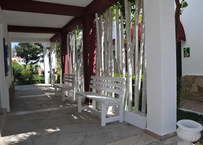 Club Cherry & Family