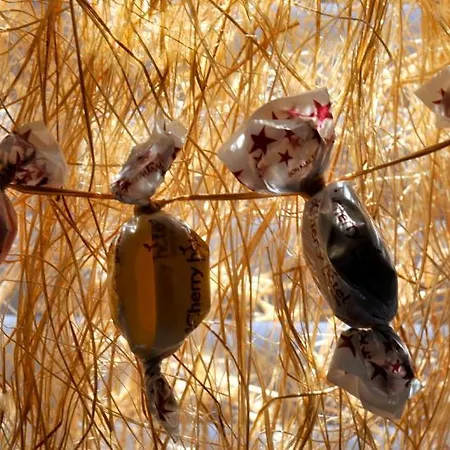 Club Cherry & Family 2* 터그트레이스