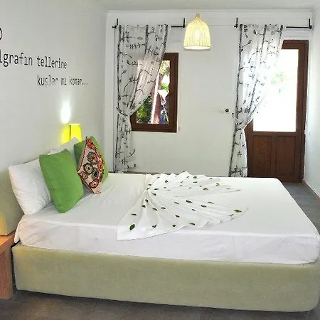 Club Cherry & Family 2* 터그트레이스