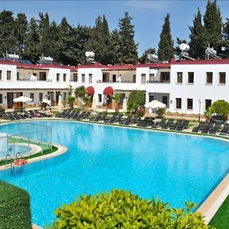 Club Cherry & Family 터그트레이스