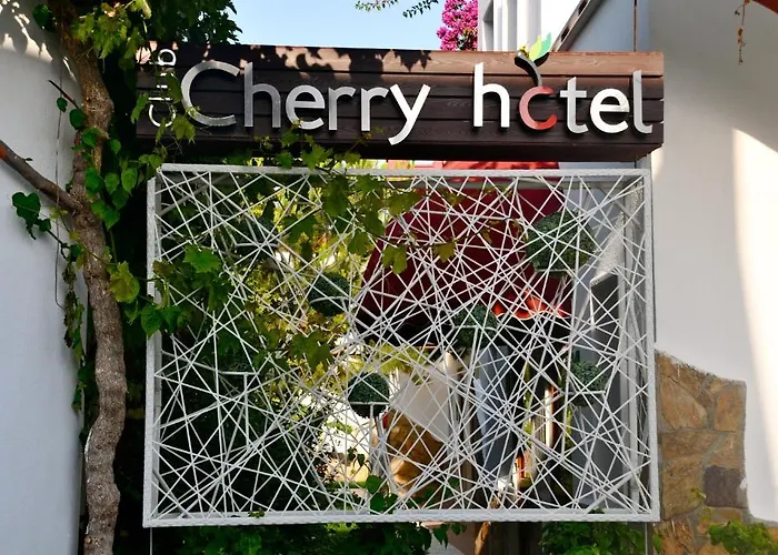 Club Cherry & Family Hotel 2*