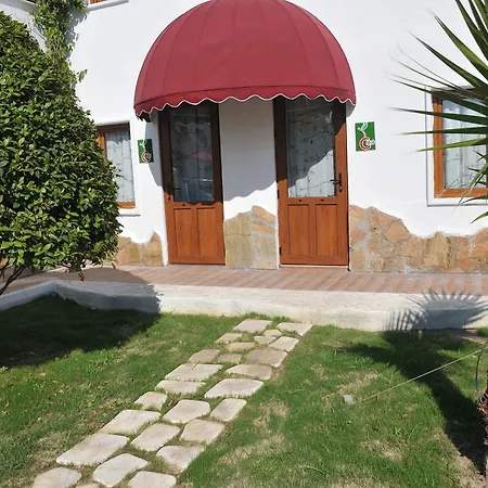 Club Cherry & Family